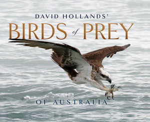 Cover art for David Hollands' Birds of Prey Of Australia