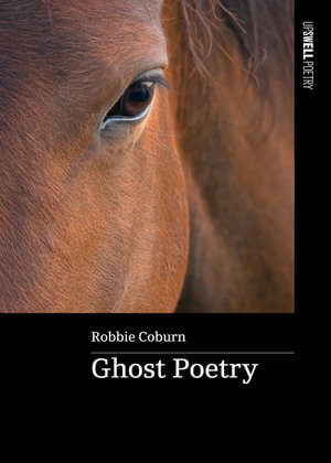 Cover art for Ghost Poetry