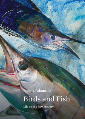 Cover art for Birds and Fish