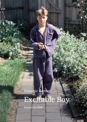 Cover art for Excitable Boy