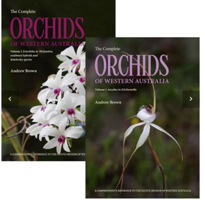 Cover art for Complete Orchids of Western Australia 2 Volume Set