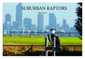Cover art for Suburban Raptors