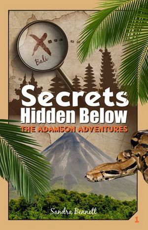 Cover art for Secrets Hidden Below