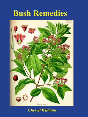 Cover art for Bush Remedies