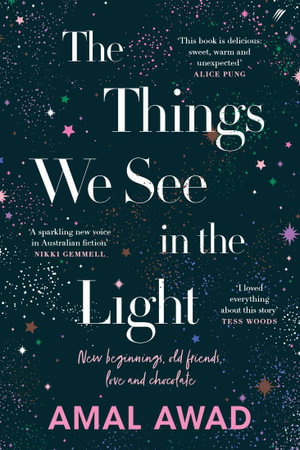 Cover art for The Things We See in the Light