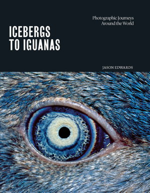 Cover art for Icebergs to Iguanas