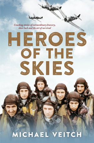 Cover art for Heroes Of The Skies