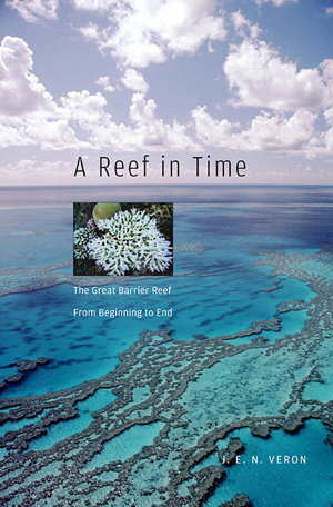 Cover art for A Reef in Time