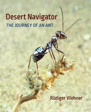 Cover art for Desert Navigator