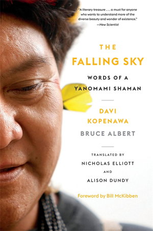 Cover art for The Falling Sky