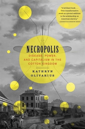 Cover art for Necropolis