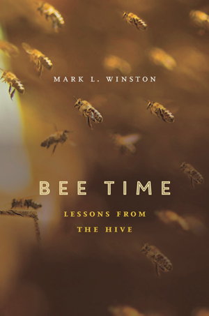 Cover art for Bee Time