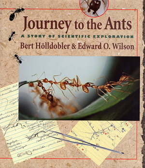 Cover art for Journey to the Ants