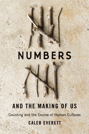 Cover art for Numbers and the Making of Us