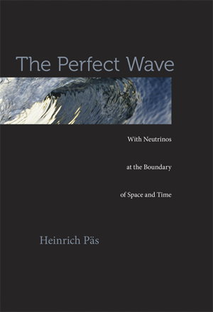Cover art for The Perfect Wave