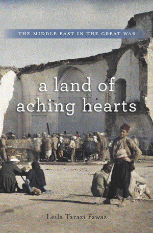 Cover art for A Land of Aching Hearts