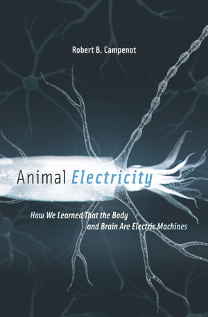 Cover art for Animal Electricity