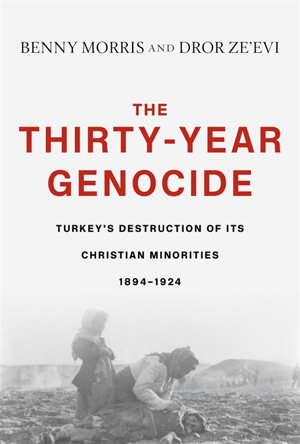 Cover art for The Thirty-Year Genocide
