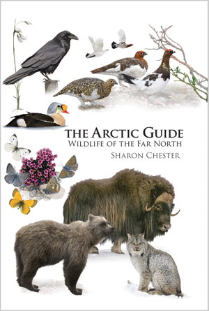 Cover art for The Arctic Guide
