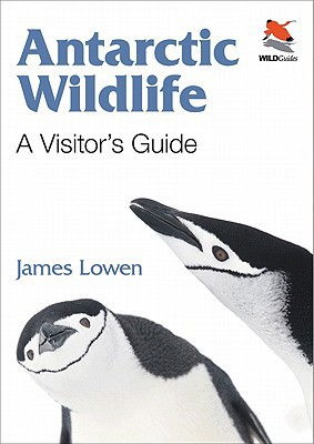 Cover art for Antarctic Wildlife