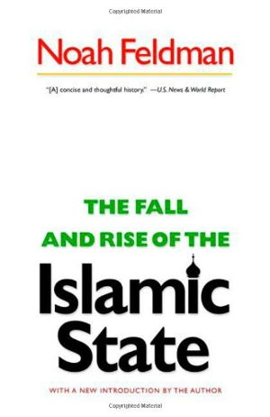 Cover art for The Fall and Rise of the Islamic State