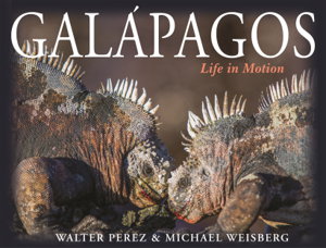 Cover art for Galapagos