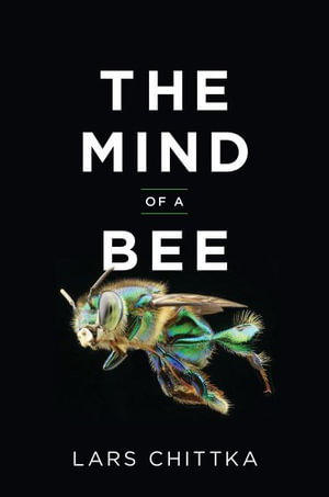 Cover art for The Mind of a Bee