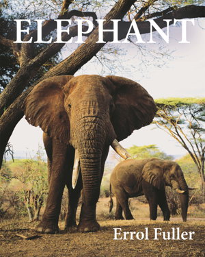 Cover art for Elephant