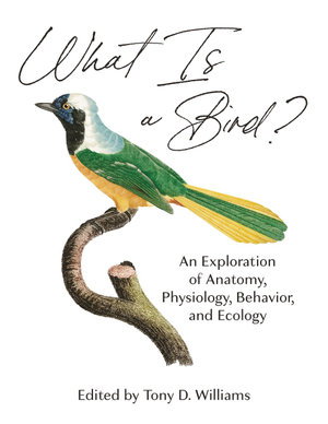 Cover art for What Is a Bird?