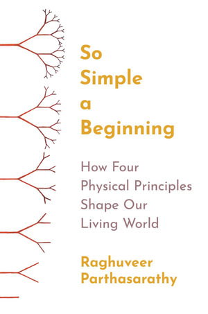 Cover art for So Simple a Beginning