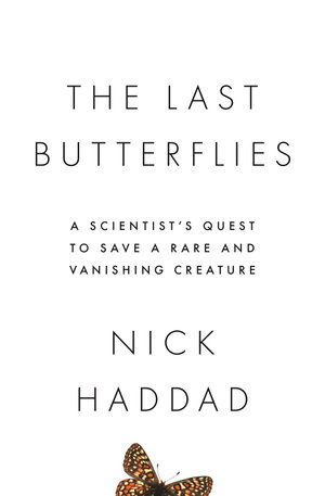 Cover art for The Last Butterflies