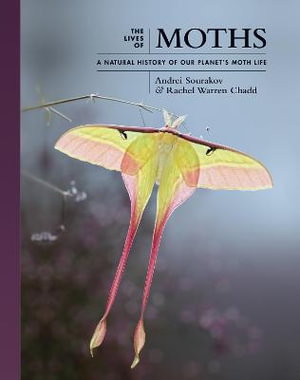Cover art for The Lives of Moths