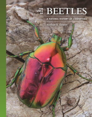 Cover art for The Lives of Beetles