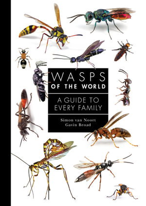 Cover art for Wasps of the World