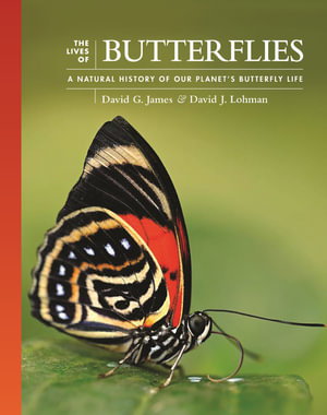 Cover art for The Lives of Butterflies