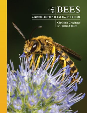 Cover art for The Lives of Bees