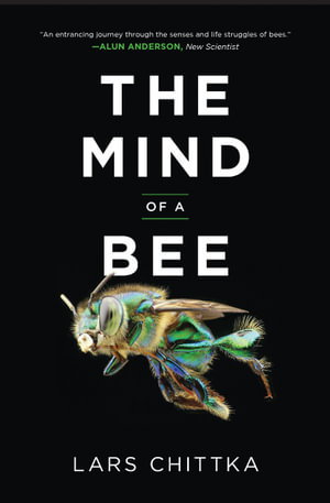 Cover art for The Mind of a Bee