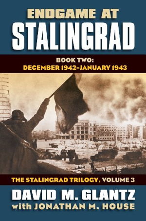 Cover art for Endgame at Stalingrad Book Two December 1942 February 1943