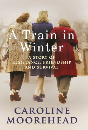 Cover art for A Train in Winter