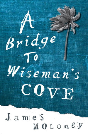 Cover art for A Bridge to Wiseman's Cove