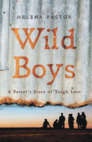 Cover art for Wild Boys: A Parent's Story of Tough Love