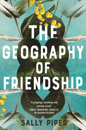 Cover art for The Geography of Friendship