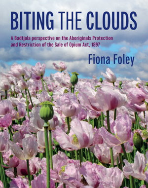 Cover art for Biting the Clouds