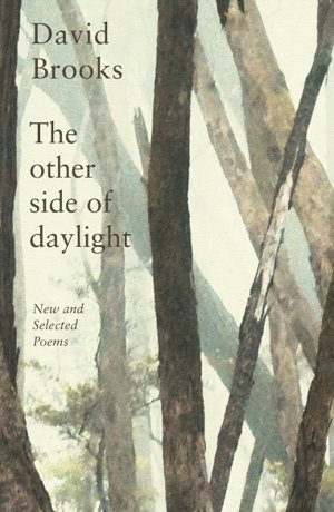 Cover art for Other Side of Daylight