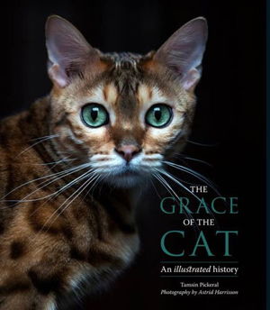 Cover art for Grace Of The Cat