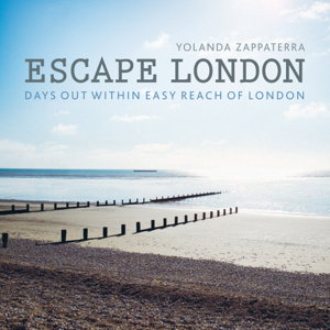 Cover art for Escape London