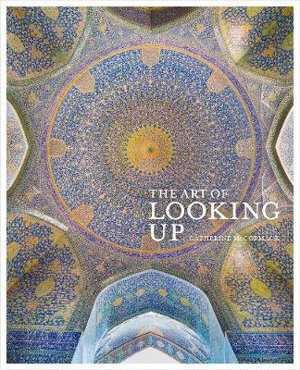 Cover art for The Art of Looking Up