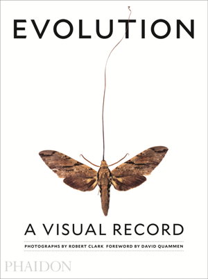 Cover art for Evolution A Visual Record