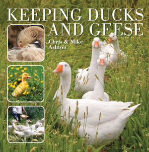 Cover art for Keeping Ducks and Geese