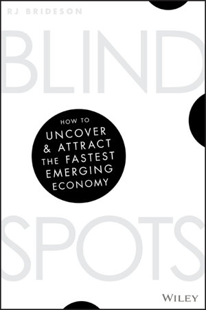 Cover art for Blind Spots